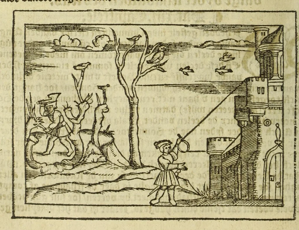 An illustration from Cosmographie, oft Beschrijuinghe der geheelder werelt van Petrus Apianus. derdwerf nu ghecorrigeert van Gemma Frisio ... Metten zeecompasse ende anderen boecxkens byden selve[n] Gemma daer toegedaen, 1553, leaf 152