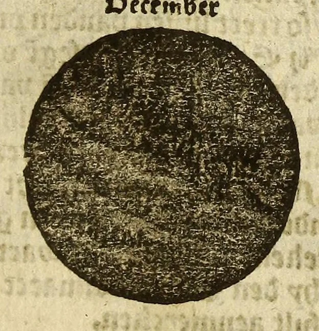 An illustration from Cosmographie, oft Beschrijuinghe der geheelder werelt van Petrus Apianus. derdwerf nu ghecorrigeert van Gemma Frisio ... Metten zeecompasse ende anderen boecxkens byden selve[n] Gemma daer toegedaen, 1553, leaf 35