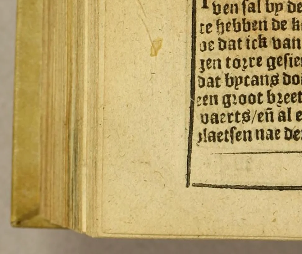 An illustration from Cosmographie. ofte Beschrijvinge de gheheelder werelt,, 1609, leaf 224