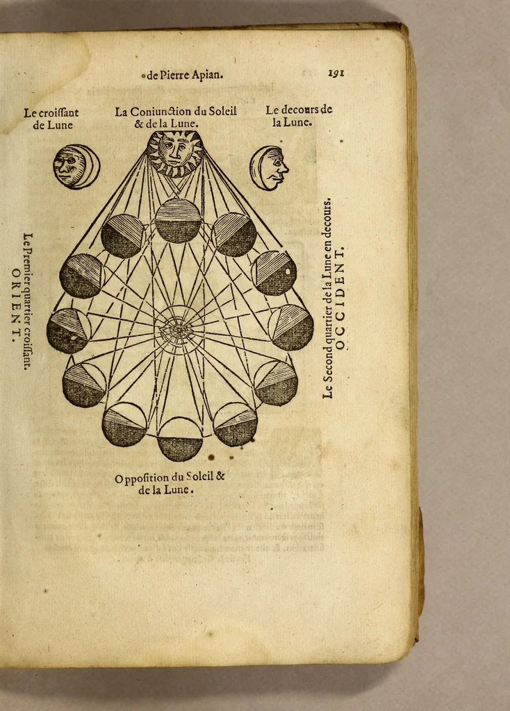 An illustration from Cosmographie, ou Description des quatre parties du monde, contenant la situation, diuision, & estendue de chascune region & prouince d'icelles,, 1581, leaf 203