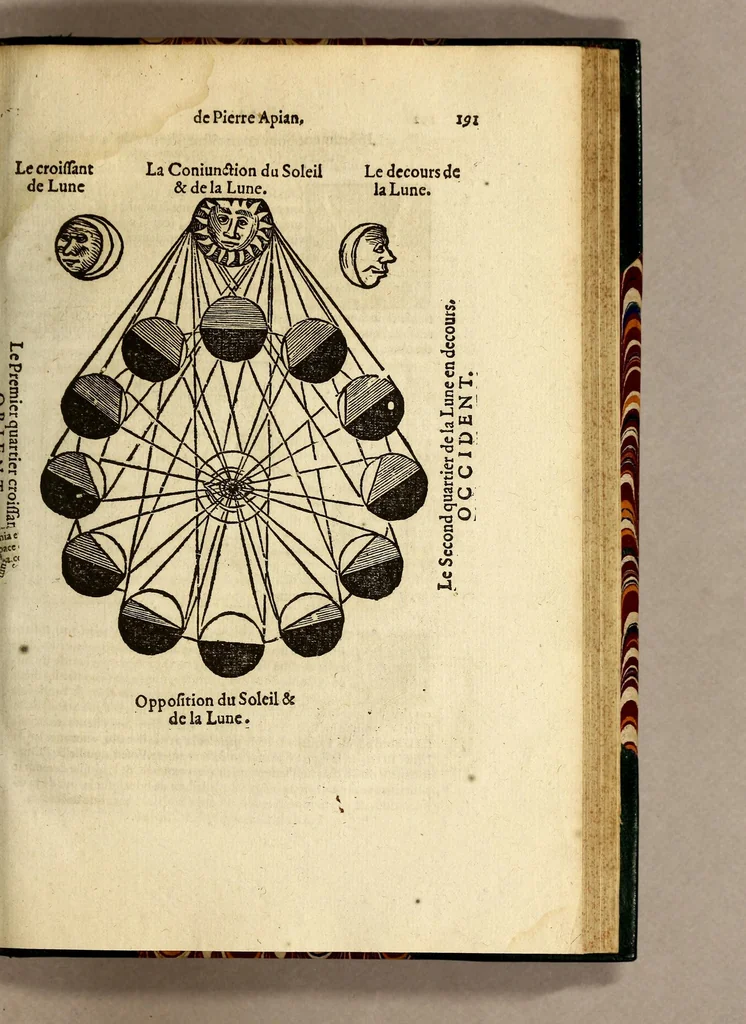 An illustration from Cosmographie, ou Description des quatre parties du monde, contenant la situation, diuision, & estendue de chascune region & prouince d'icelles,, 1581, leaf 209