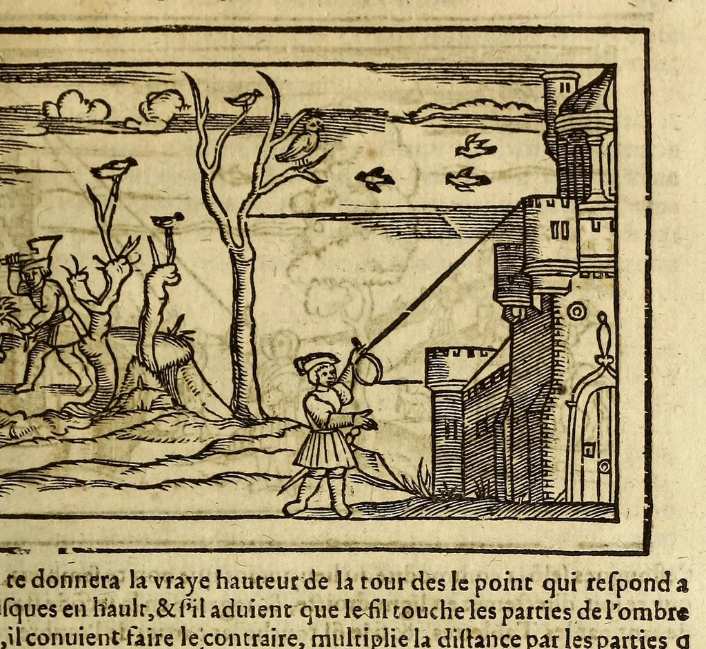 An illustration from Cosmographie, ou Description des quatre parties du monde, contenant la situation, diuision, & estendue de chascune region & prouince d'icelles,, 1581, leaf 239