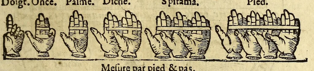 An illustration from Cosmographie, ou Description des quatre parties du monde, contenant la situation, diuision, & estendue de chascune region & prouince d'icelles,, 1581, leaf 47