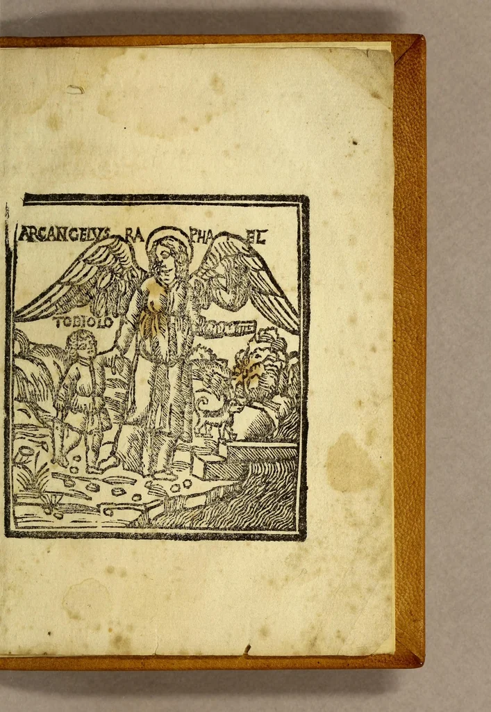 An illustration from Cosmographiæ introductio : cum quibusdam geometriæ ac astronomiæ principijs ad eam rem necessarijs, 1537, leaf 69