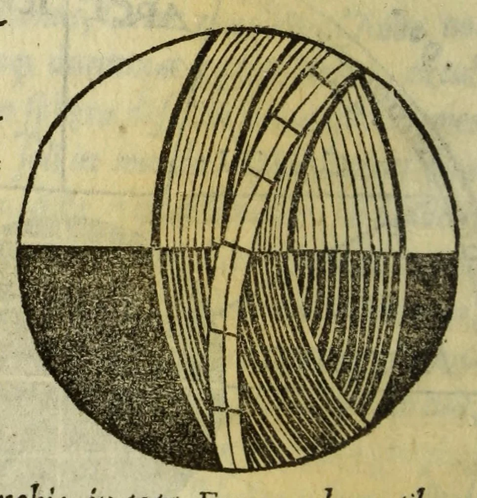 An illustration from Cosmographiæ introductio : cum quibusdam geometriæ ac astronomiæ principijs ad eam rem necessarijs, 1533, leaf 28