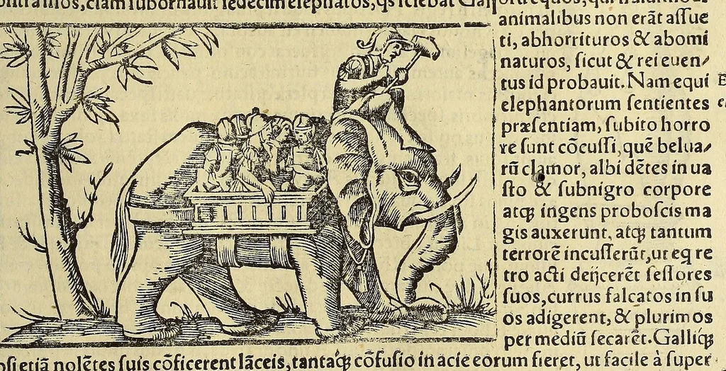 An illustration from Cosmographiæ uniuersalis lib. VI. in quibus iuxta certioris fidei scriptorum traditionem describuntur, omnium habitabilis orbis partium situs, propriæq[ue] dotes. regionum topographicæ effigies ..., 1554, leaf 1089