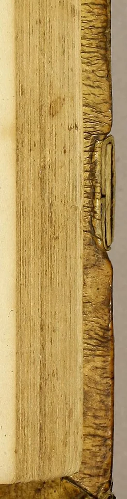 An illustration from Cosmographiæ uniuersalis lib. VI. in quibus iuxta certioris fidei scriptorum traditionem describuntur, omnium habitabilis orbis partium situs, propriæq[ue] dotes. regionum topographicæ effigies ..., 1554, leaf 1089