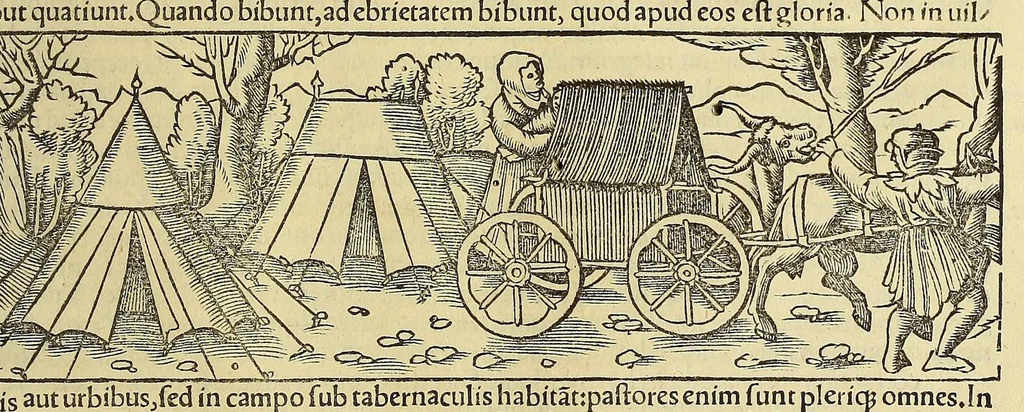 An illustration from Cosmographiæ uniuersalis lib. VI. in quibus iuxta certioris fidei scriptorum traditionem describuntur, omnium habitabilis orbis partium situs, propriæq[ue] dotes. regionum topographicæ effigies ..., 1554, leaf 1159