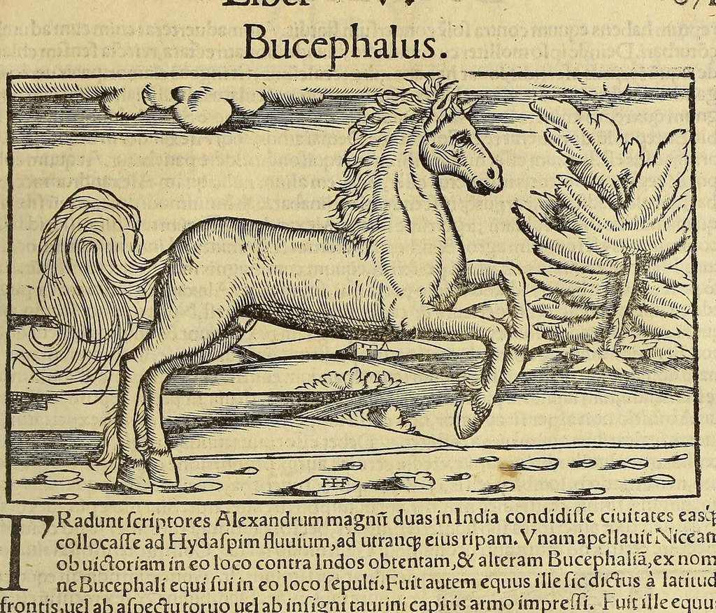 An illustration from Cosmographiæ uniuersalis lib. VI. in quibus iuxta certioris fidei scriptorum traditionem describuntur, omnium habitabilis orbis partium situs, propriæq[ue] dotes. regionum topographicæ effigies ..., 1554, leaf 1171