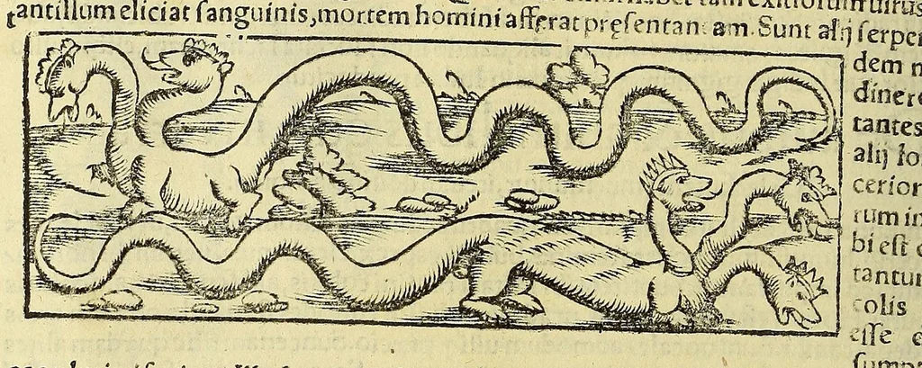 An illustration from Cosmographiæ uniuersalis lib. VI. in quibus iuxta certioris fidei scriptorum traditionem describuntur, omnium habitabilis orbis partium situs, propriæq[ue] dotes. regionum topographicæ effigies ..., 1554, leaf 1190