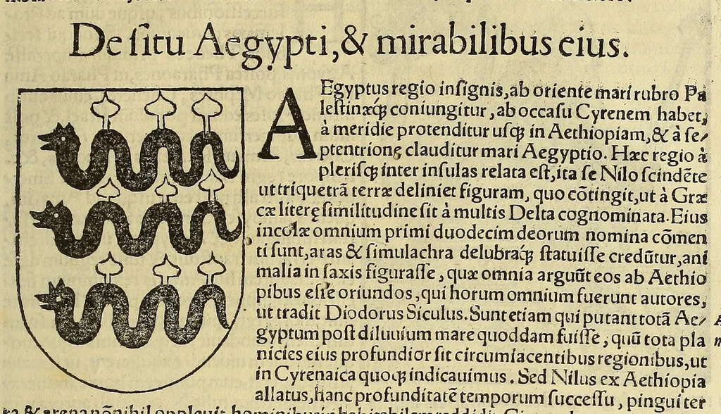 An illustration from Cosmographiæ uniuersalis lib. VI. in quibus iuxta certioris fidei scriptorum traditionem describuntur, omnium habitabilis orbis partium situs, propriæq[ue] dotes. regionum topographicæ effigies ..., 1554, leaf 1229