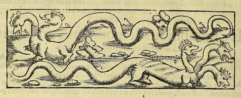 An illustration from Cosmographiæ uniuersalis lib. VI. in quibus iuxta certioris fidei scriptorum traditionem describuntur, omnium habitabilis orbis partium situs, propriæq[ue] dotes. regionum topographicæ effigies ..., 1554, leaf 1252