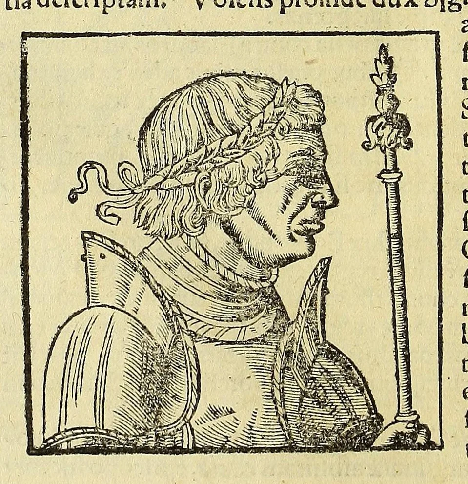An illustration from Cosmographiæ uniuersalis lib. VI. in quibus iuxta certioris fidei scriptorum traditionem describuntur, omnium habitabilis orbis partium situs, propriæq[ue] dotes. regionum topographicæ effigies ..., 1554, leaf 222