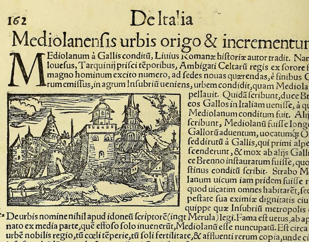 An illustration from Cosmographiæ uniuersalis lib. VI. in quibus iuxta certioris fidei scriptorum traditionem describuntur, omnium habitabilis orbis partium situs, propriæq[ue] dotes. regionum topographicæ effigies ..., 1554, leaf 250