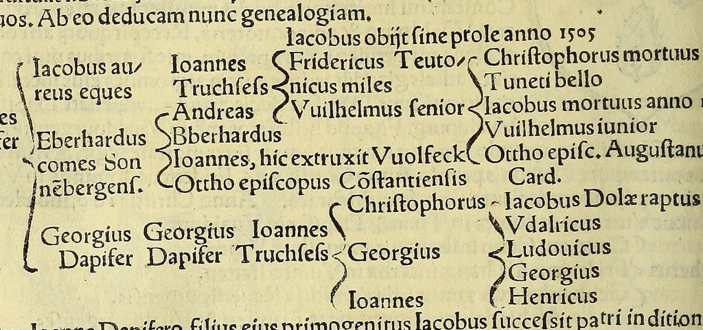 An illustration from Cosmographiæ uniuersalis lib. VI. in quibus iuxta certioris fidei scriptorum traditionem describuntur, omnium habitabilis orbis partium situs, propriæq[ue] dotes. regionum topographicæ effigies ..., 1554, leaf 656