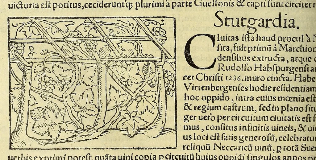 An illustration from Cosmographiæ uniuersalis lib. VI. in quibus iuxta certioris fidei scriptorum traditionem describuntur, omnium habitabilis orbis partium situs, propriæq[ue] dotes. regionum topographicæ effigies ..., 1554, leaf 692