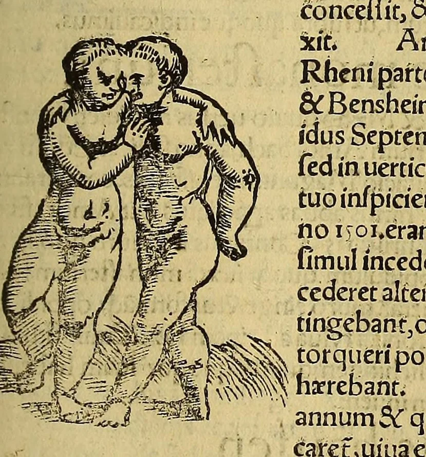 An illustration from Cosmographiæ uniuersalis lib. VI. in quibus iuxta certioris fidei scriptorum traditionem describuntur, omnium habitabilis orbis partium situs, propriæq[ue] dotes. regionum topographicæ effigies ..., 1554, leaf 725