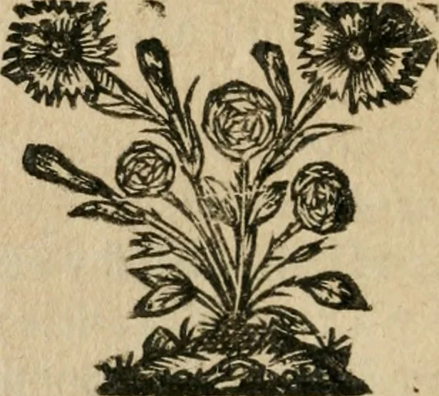 An illustration from Cosmopolite, ov, Novvelle lvmiere chymique : divisée en douse traitez, avec un dialogue du Mercure, de l'Alchymiste, & de la Nature : reveuz & fidelement corrigez sur les plus anciens exemplaires, 1669, leaf 137