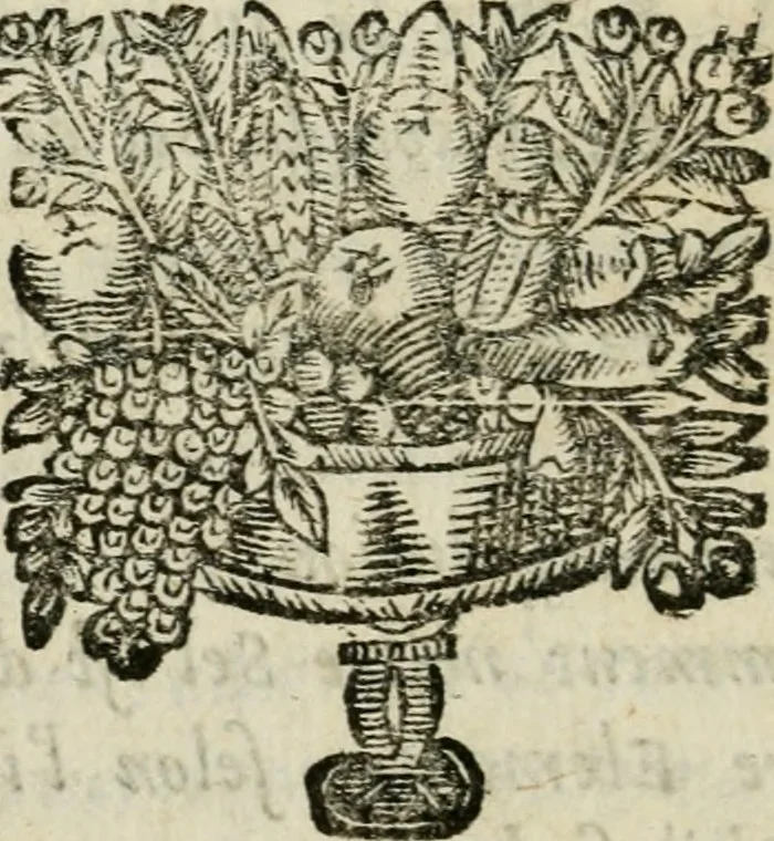 An illustration from Cosmopolite, ov, Novvelle lvmiere chymique : divisée en douse traitez, avec un dialogue du Mercure, de l'Alchymiste, & de la Nature : reveuz & fidelement corrigez sur les plus anciens exemplaires, 1669, leaf 267