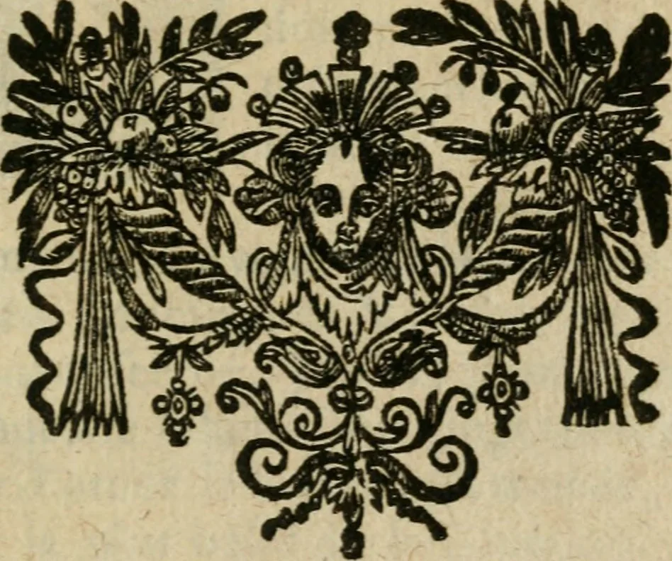 An illustration from Cosmopolite, ov, Novvelle lvmiere chymique : divisée en douse traitez, avec un dialogue du Mercure, de l'Alchymiste, & de la Nature : reveuz & fidelement corrigez sur les plus anciens exemplaires, 1669, leaf 356
