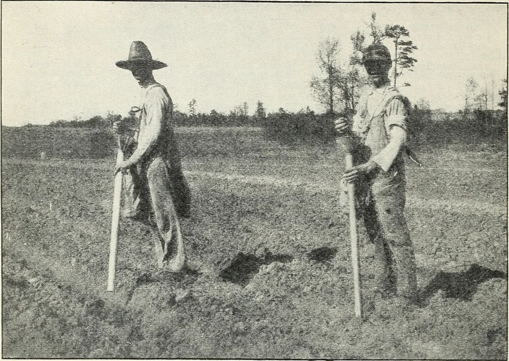 An illustration from The cost of producing cotton : 842 records, 1918, 1920, leaf 27