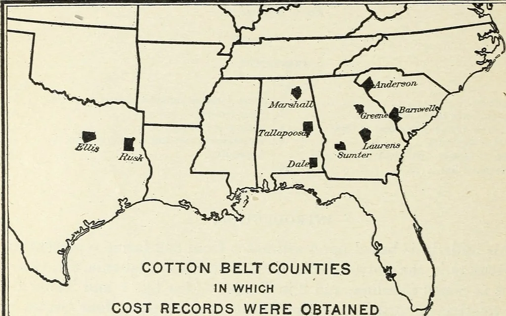 An illustration from The cost of producing cotton : 842 records, 1918, 1920, leaf 5
