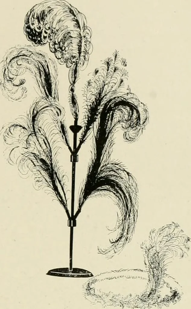 An illustration from Costume design and illustration, 1918, leaf 66