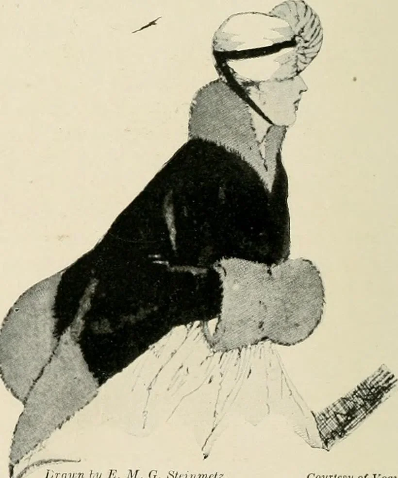 An illustration from Costume design and illustration, 1918, leaf 75