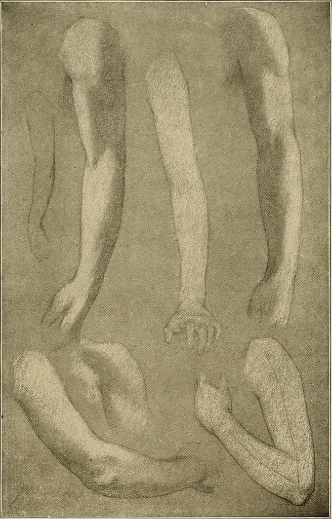 An illustration from Costume design and illustration, 1918, leaf 40