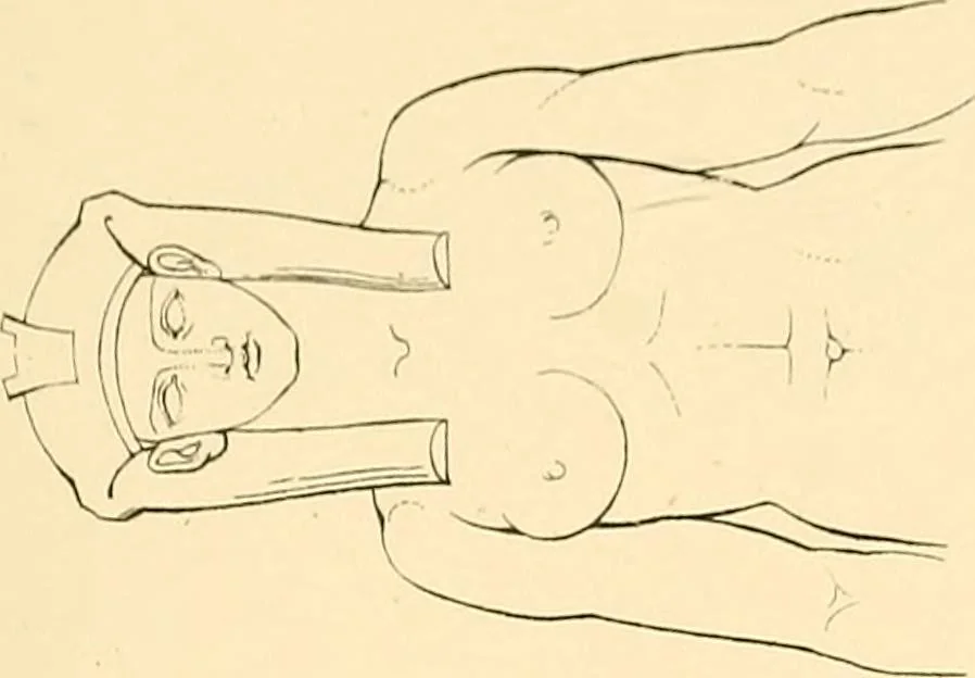An illustration from The costume of the ancients, 1875, leaf 58
