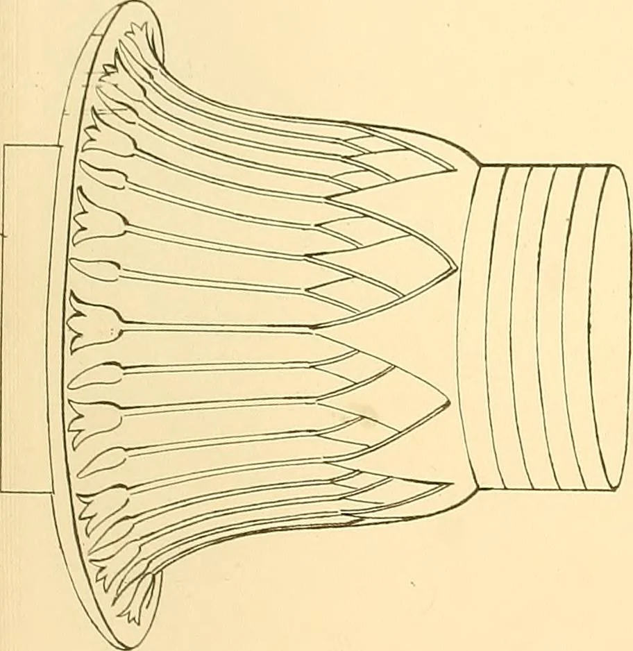 An illustration from The costume of the ancients, 1875, leaf 66