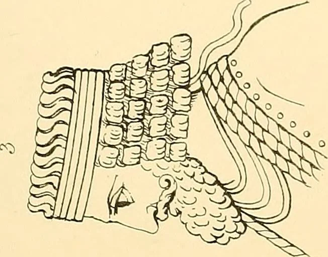 An illustration from The costume of the ancients, 1875, leaf 84