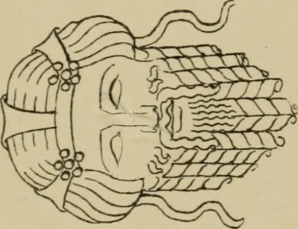 An illustration from The costume of the ancients, 1875, leaf 100