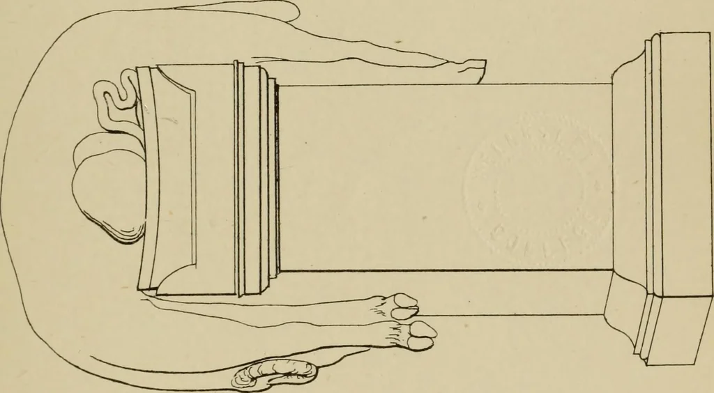 An illustration from The costume of the ancients, 1875, leaf 238