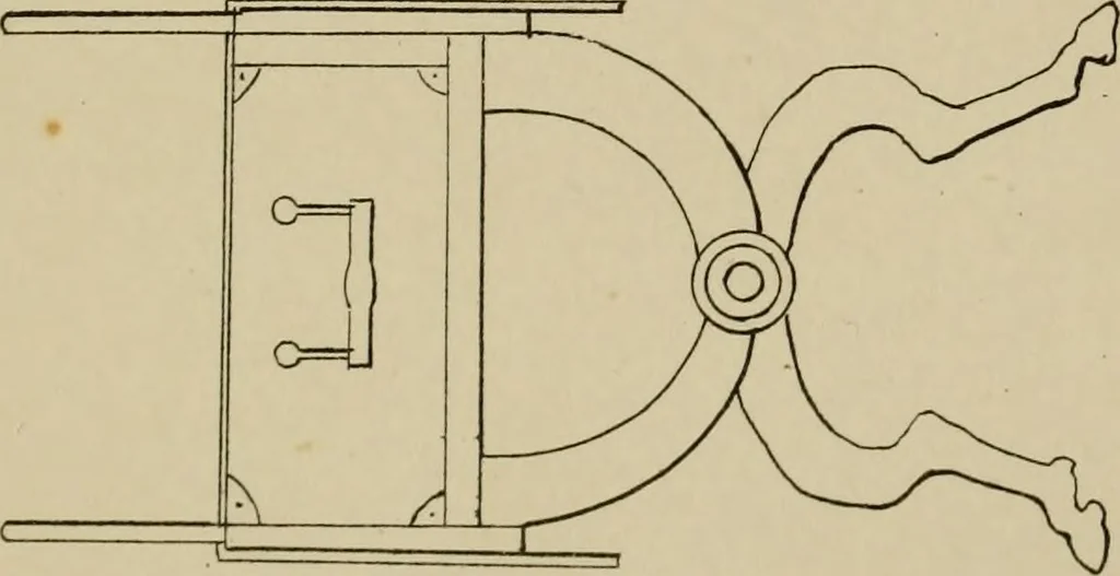 An illustration from The costume of the ancients, 1875, leaf 240