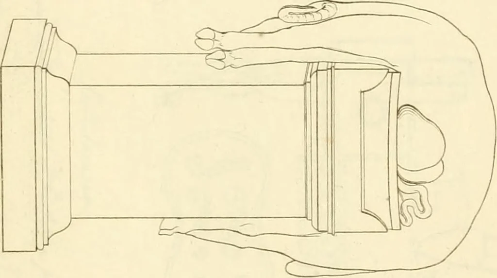 An illustration from Costume of the ancients, 1812, leaf 622