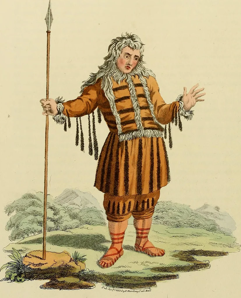 An illustration from Costume of the Russian empire : illustrated by upwards of seventy richly coloured engravings .., 1811, leaf 243