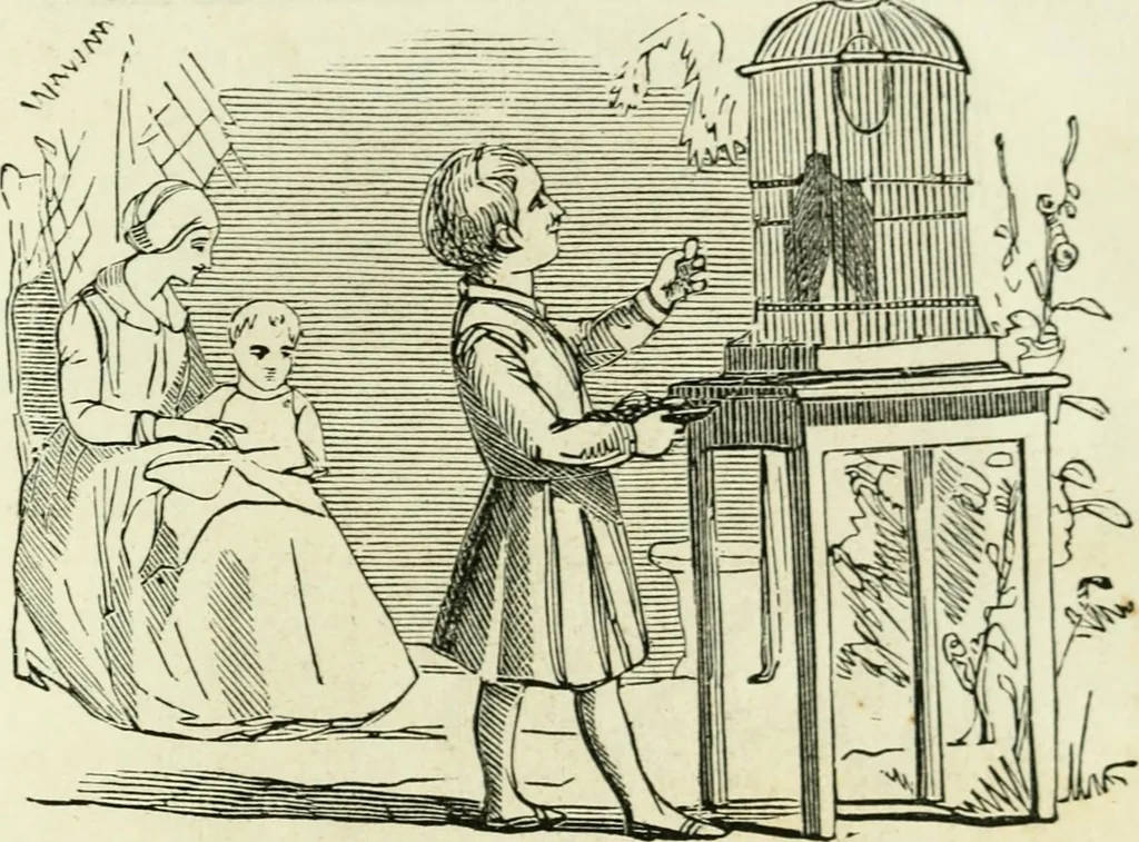 An illustration from Costumes of Europe: with descriptions of the people, manners, and customs, 1852, leaf 138