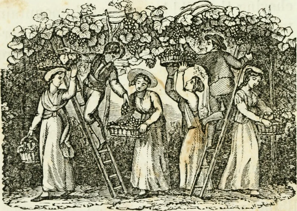 An illustration from Costumes of Europe: with descriptions of the people, manners, and customs, 1852, leaf 55