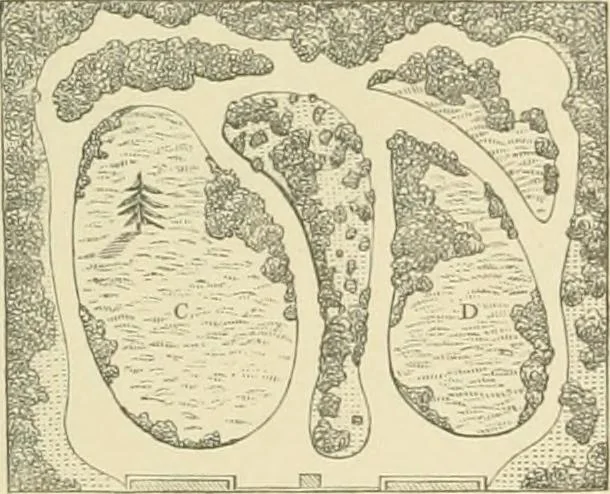 An illustration from Cottage residences; or, A series of designs for rural cottages and cottage villas, and their gardens and grounds, 1873, leaf 285