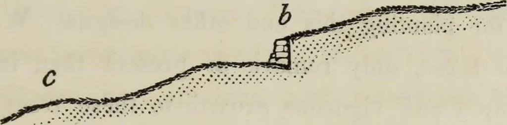 An illustration from Cottage residences : or, A series of designs for rural cottages and cottage villas, and their gardens and grounds. Adapted to North America, 1847, leaf 94