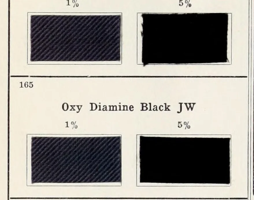 An illustration from The cotton colours of the Cassella Color Company, New York, 1913, leaf 126