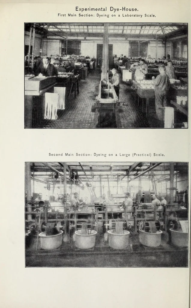 An illustration from The cotton colours of the Cassella Color Company, New York, 1913, leaf 4