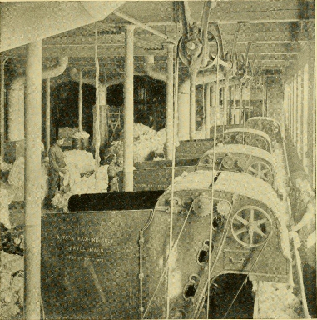An illustration from Cotton and cotton manufacture, 1921, leaf 26
