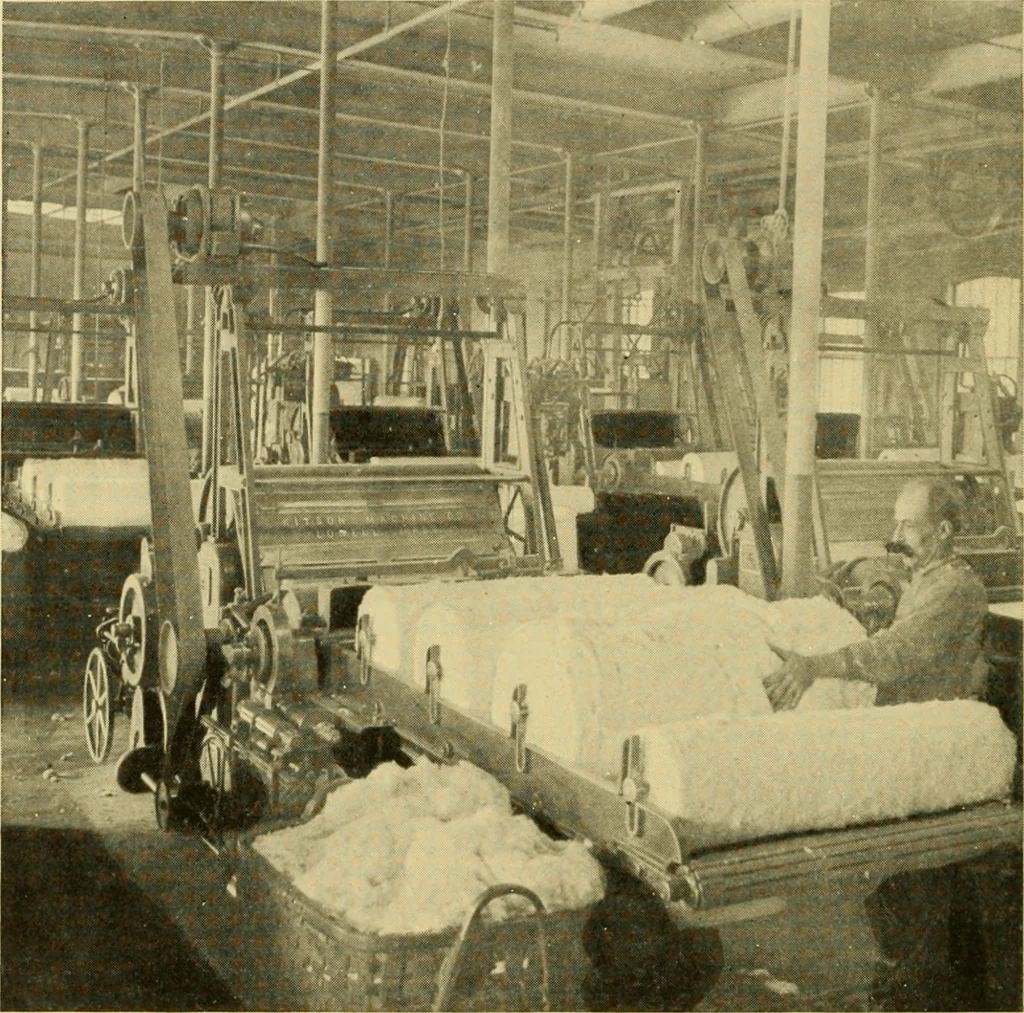 An illustration from Cotton and cotton manufacture, 1921, leaf 27