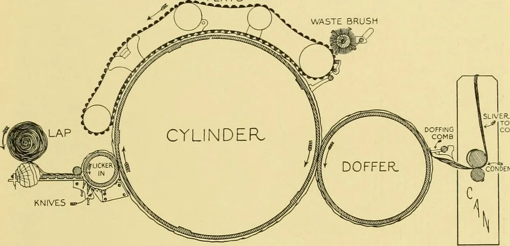 An illustration from Cotton and cotton manufacture, 1921, leaf 28
