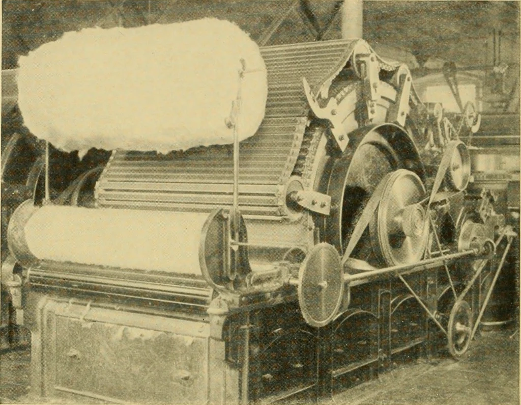 An illustration from Cotton and cotton manufacture, 1921, leaf 29