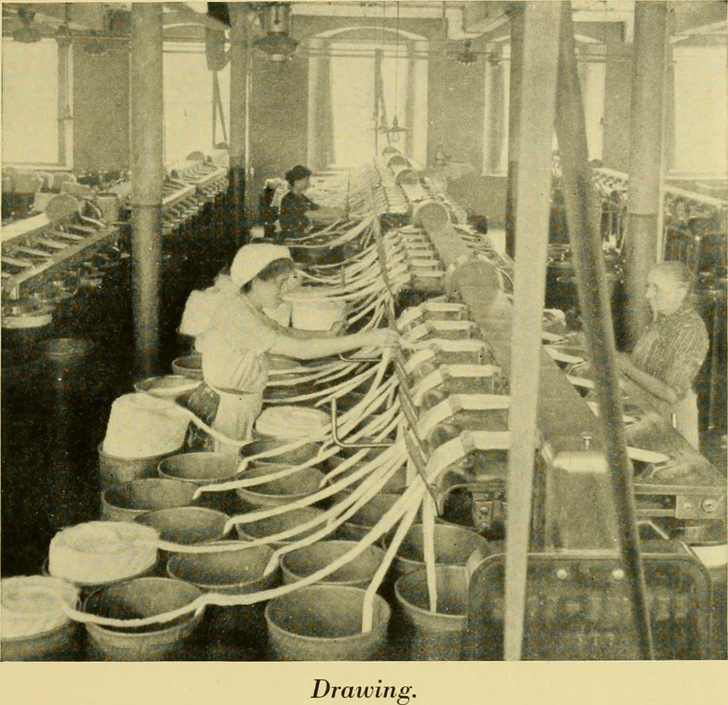 An illustration from Cotton and cotton manufacture, 1921, leaf 30
