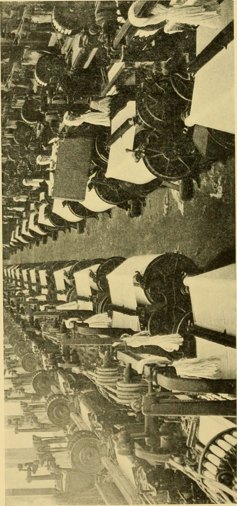 An illustration from Cotton and cotton manufacture, 1921, leaf 41