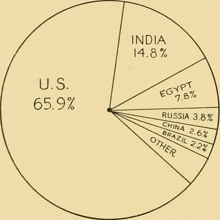 An illustration from Cotton and cotton manufacture, 1921, leaf 63